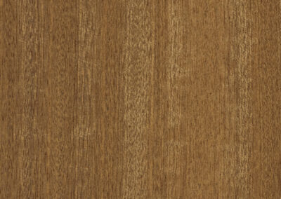 SAPELLI QTR